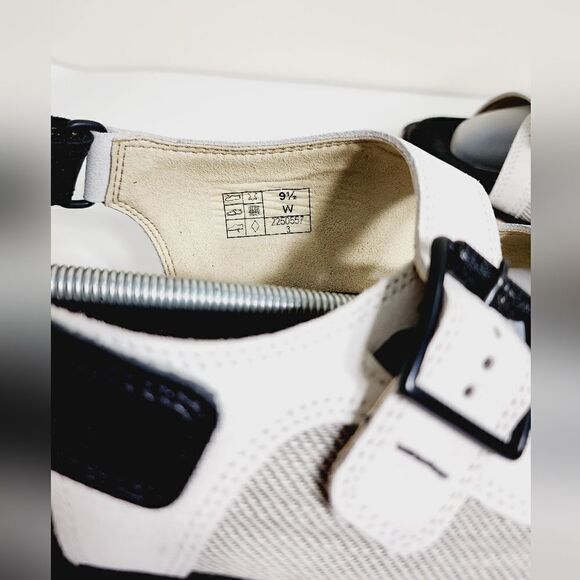 SAS Conga - Picture 3 of 12